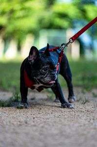 いや行かねーし