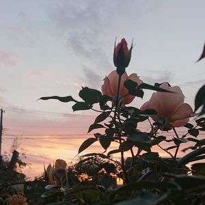 夏の終わり#カレンダー2025#