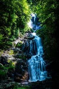 新緑を流れるシルク