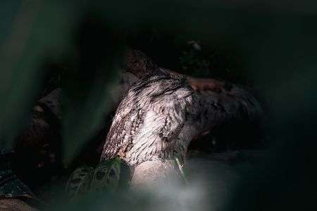 みーつけたっ！