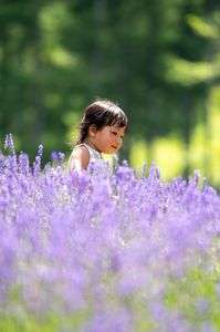 ラベンダー畑と娘