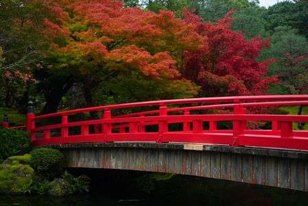 赤のコラボレーション