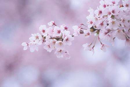 見せてもらおうか