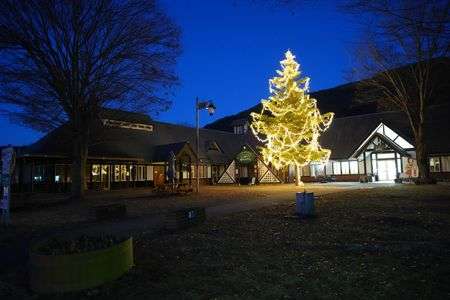 もうすぐサンタがやってくる