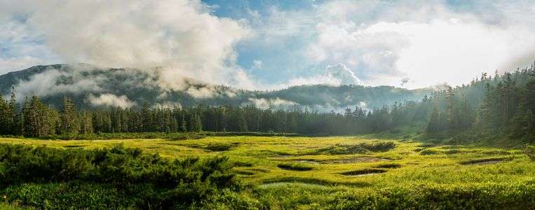 雨上がりの秘境