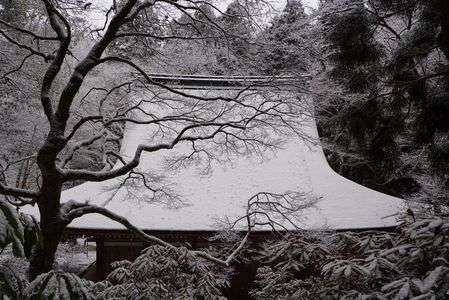 雪の室生寺