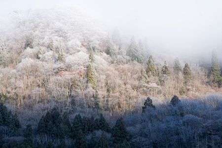 冷え込みましたね。