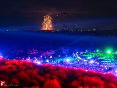 ゲーミングコキア