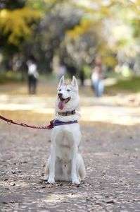 小春日和の笑顔