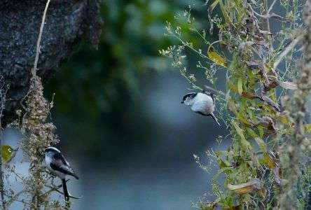隣が気になって