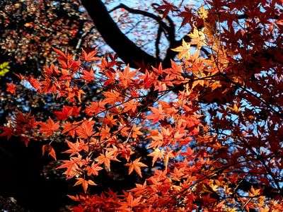 陽のあたる場所