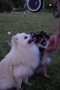 おやつ待ち🐻‍❄️🐻