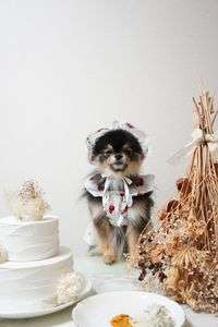 おうちカフェ②