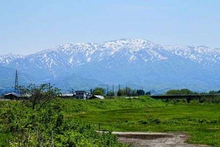 新緑の北越後。#フラワー2025#