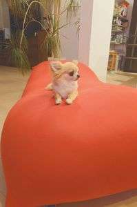 犬もダメにするクッション