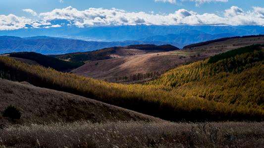 スポット光による情景２