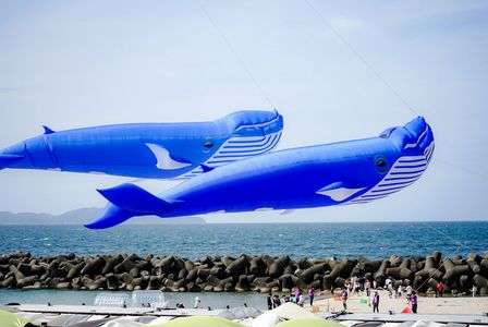 空飛ぶクジラ