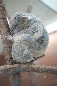 我が子を抱いて