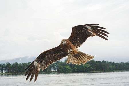 ナイスキャッチ！