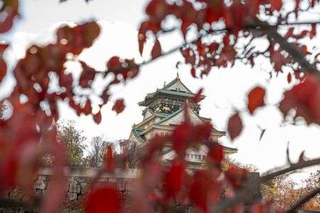 大阪城の紅葉