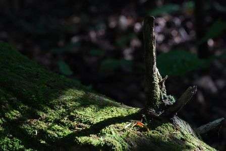 避暑地へ行きたい