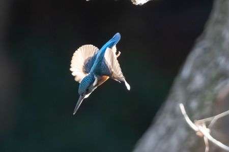 少しブレーキ掛けて急降下