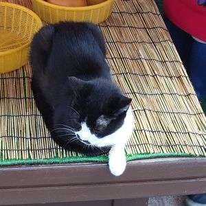 商店街の主 2024/9/17