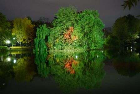 中島公園　ライトアップラストデー　緑