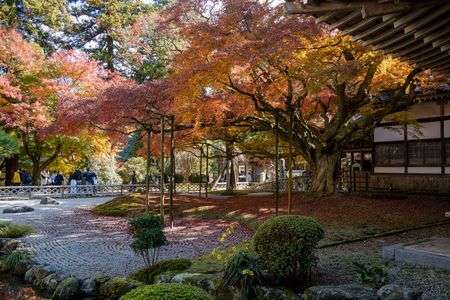 秋の雷山千如寺