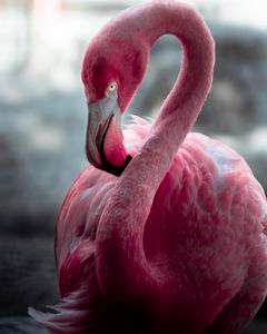 腰に羽当て決めポーズ