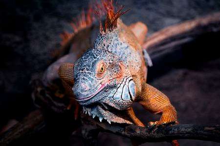 狙った獲物は逃さない