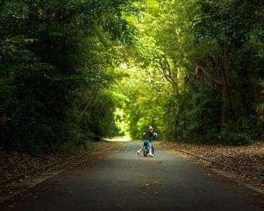 ひかりの降る場所