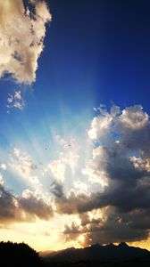 夕暮れに飛ぶ鳥