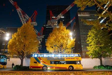 東京紅葉ナイトクルーズ