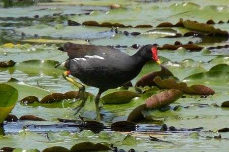 子育て中#バン#