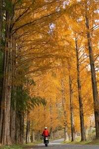 秋のツーリング