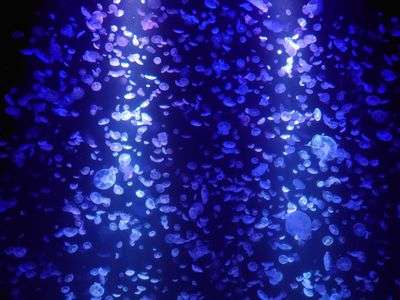 not where to go, but  go with the flow.