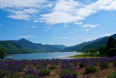 空.湖.ラベンダー夏です！