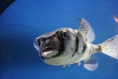 アクアワールド茨城県大洗水族館