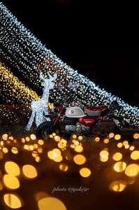 イルミネーション✨