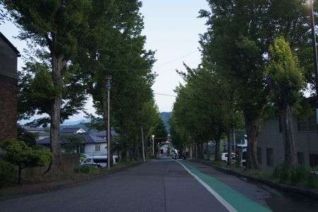 夕暮れの染谷坂