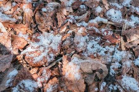 冬が始まるってよ…