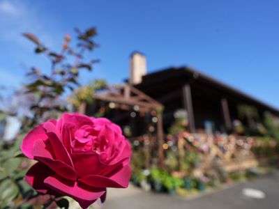 バラとベタニヤ館
