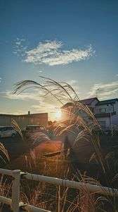 穏やかな夕暮れ