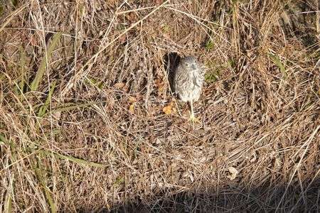 あなたの名前は？