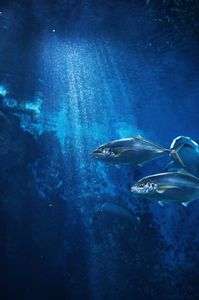 射し込む光の下で