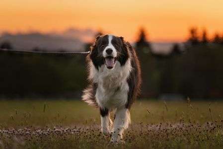 だーいすき！！