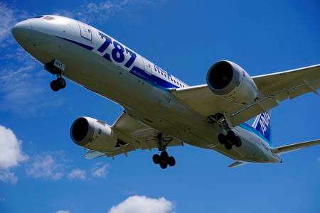 ANA787ロゴ機 就航記念日｡.*:+☆