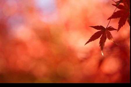 2025_昭和記念公園