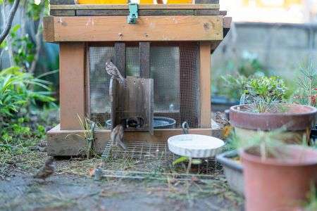 団体さんいらっしゃーい